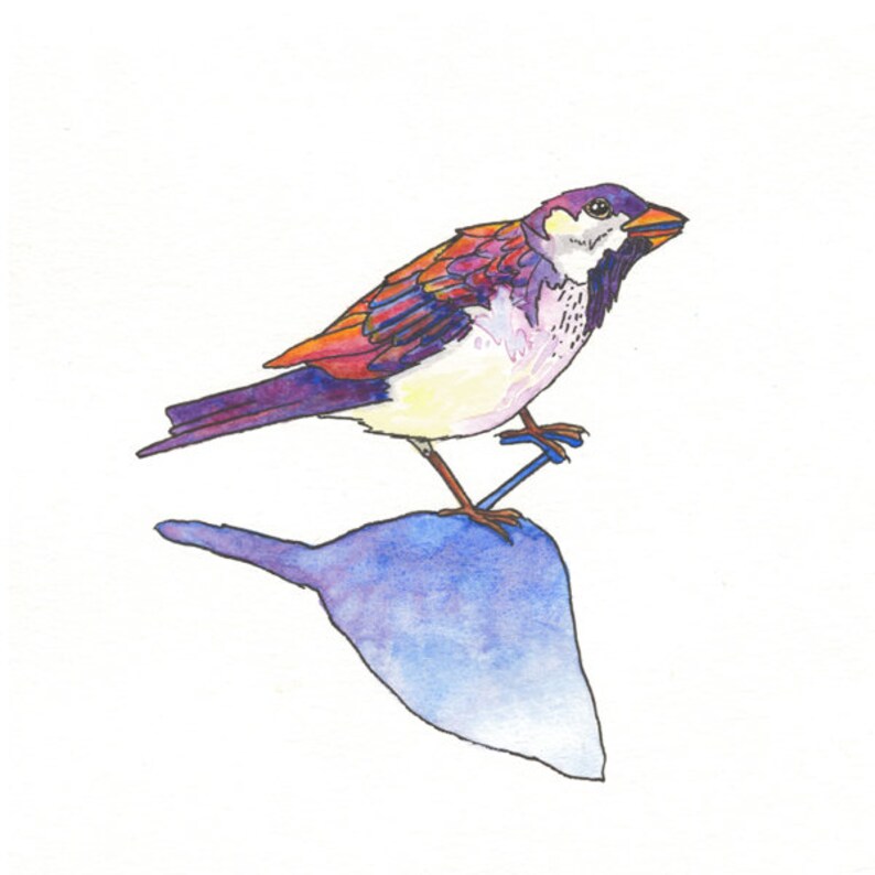shadow watercolour sparrow bird painting bird art gift fine art print Brighter Tomorrow illustration sparrow painting ink drawing