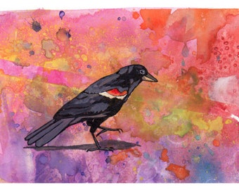 Red-Winged Blackbird, original watercolour painting, wall art bird print, bird lover gift, small bird art print, colourful songbird art