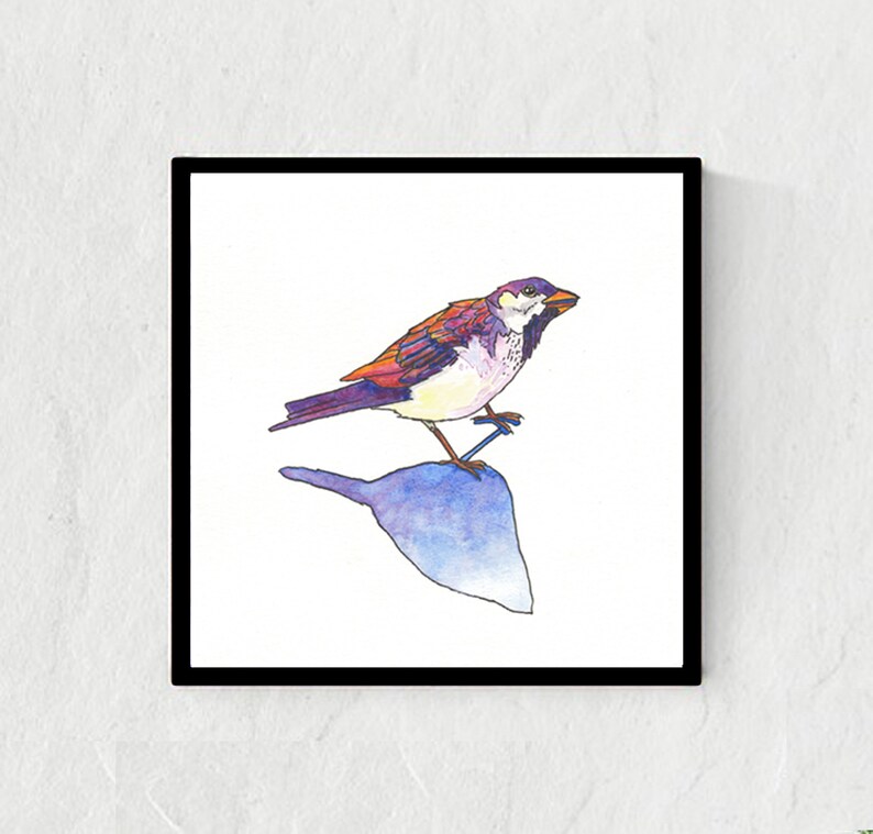shadow watercolour sparrow bird painting bird art gift fine art print Brighter Tomorrow illustration sparrow painting ink drawing