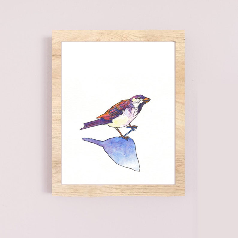 shadow watercolour sparrow bird painting bird art gift fine art print Brighter Tomorrow illustration sparrow painting ink drawing