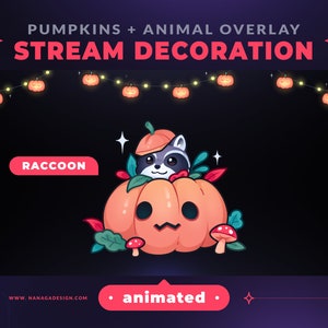 ANIMATED Raccoon Pumpkin Lights Stream Decoration - Cute Spooky Halloween Animal Stream Overlay | Custom Vtuber Assets for Twitch Youtube