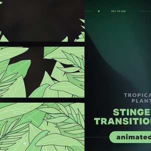 Puede incluir: Efecto de transición animado con plantas tropicales en un esquema de color verde y negro. El texto "TROPICAL PLANTS STINGER TRANSITION animated" se muestra sobre un fondo verde oscuro.