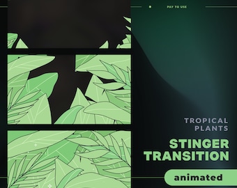 Animated Tropical Plants Stream Stinger Transition (webm File)