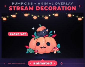 Superposición animada de Halloween: Luces de calabaza de gato negro (Webm)