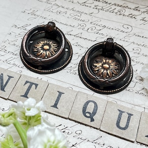 Peut inclure: Deux poignées de porte en bronze antique avec un motif floral. Les poignées ont une poignée en anneau et sont montées sur une base ronde.