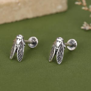 May include: A pair of silver stud earrings shaped like cicadas, featuring detailed wings and body textures. Each earring has a straight post back with a circular flat backing, showcasing an oxidized finish that highlights the insect's features.