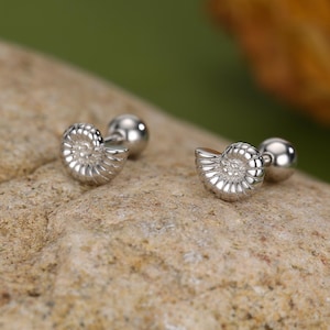 Può includere: Un paio di orecchini a lobo in argento con un design a conchiglia nautilus dettagliato. Gli orecchini hanno un piccolo retro rotondo. Gli orecchini sono esposti su una superficie di pietra strutturata marrone chiaro.