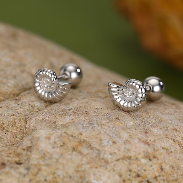 Kolczyki ze srebra próby 925 z muszlą amonita Nautilus, 18G, zapięcie śrubowe z kulkami