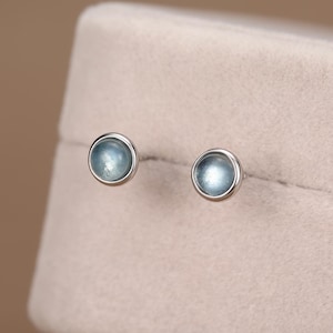 Può includere: Un paio di orecchini a lobo con pietre cabochon rotonde color azzurro incastonate in montature di metallo color argento lucido. Gli orecchini presentano un design circolare liscio con una superficie riflettente sulle pietre.