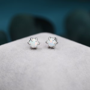 May include: A pair of opal stud earrings. Each earring features a round, iridescent opal stone held by a silver, six-prong setting. The earrings are displayed on a soft, light gray surface against a blurred blue background.