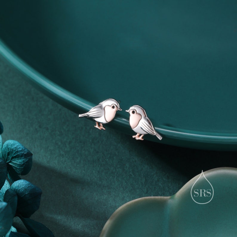 K&ouml;nnte beinhalten: Ein Paar silberne Ohrringe mit einem kleinen, detaillierten Rotkehlchen-Design mit rosa Brust. Die Ohrringe befinden sich auf einer gr&uuml;nen Oberfl&auml;che.