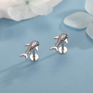 Örhängen i sterlingsilver med valhaj och 16G platt baksida i labret