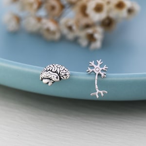 Può includere: Due orecchini a bottone color argento: uno a forma di cervello e l'altro a forma di neurone. Gli orecchini sono esposti su un piatto azzurro, con fiori secchi sullo sfondo. L'orecchino a forma di cervello ha dettagli di creste.