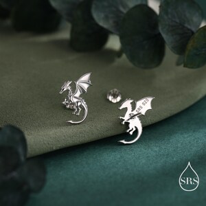 May include: Silver dragon earrings with detailed wings and a curved tail. One earring is marked "SRS 925". The earrings are presented on a green surface, with a blurred background of leaves.