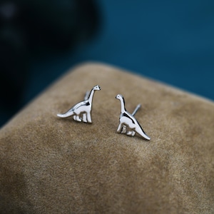 May include: A pair of silver dinosaur stud earrings. The earrings are small and delicate, and they feature a realistic dinosaur design.