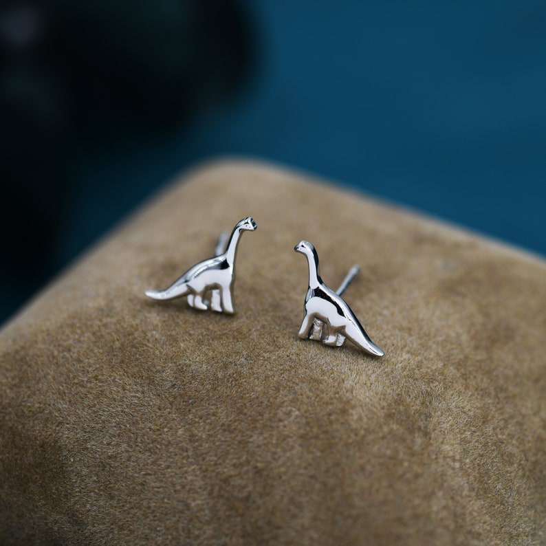 May include: A pair of silver dinosaur stud earrings. The earrings are small and delicate, and they feature a realistic dinosaur design.