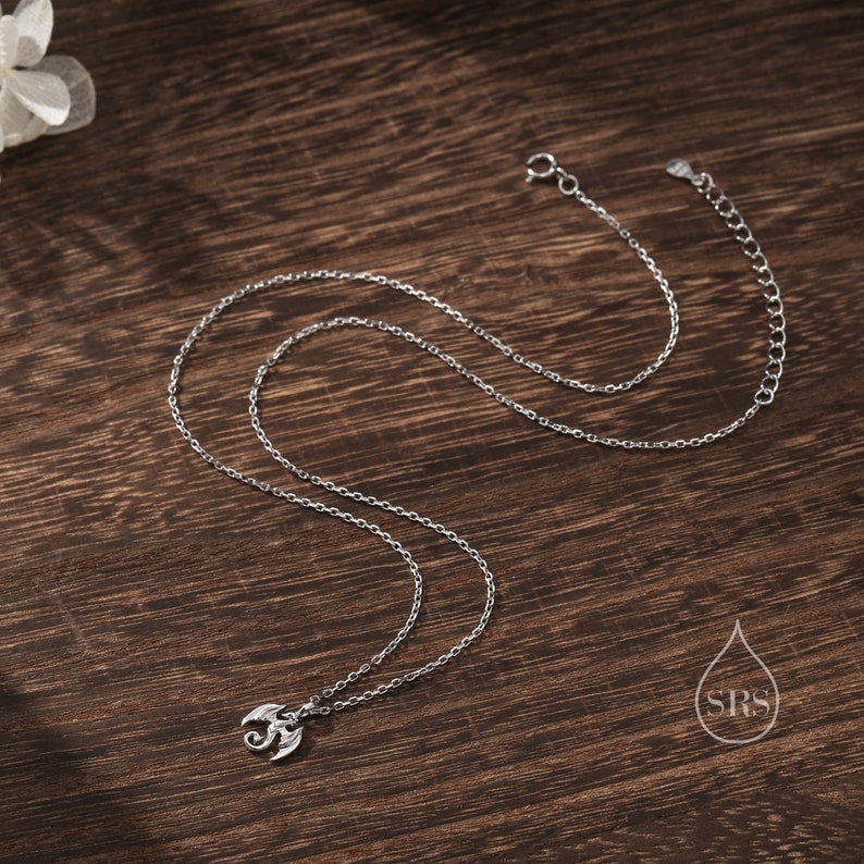 May include: A silver chain necklace with a small dragon pendant. The necklace is on a wooden surface.