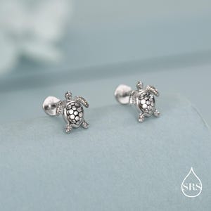 May include: A pair of silver-colored turtle stud earrings. Each earring features a detailed turtle design with a textured shell and small, sparkling accents. The earrings are displayed on a light blue surface.
