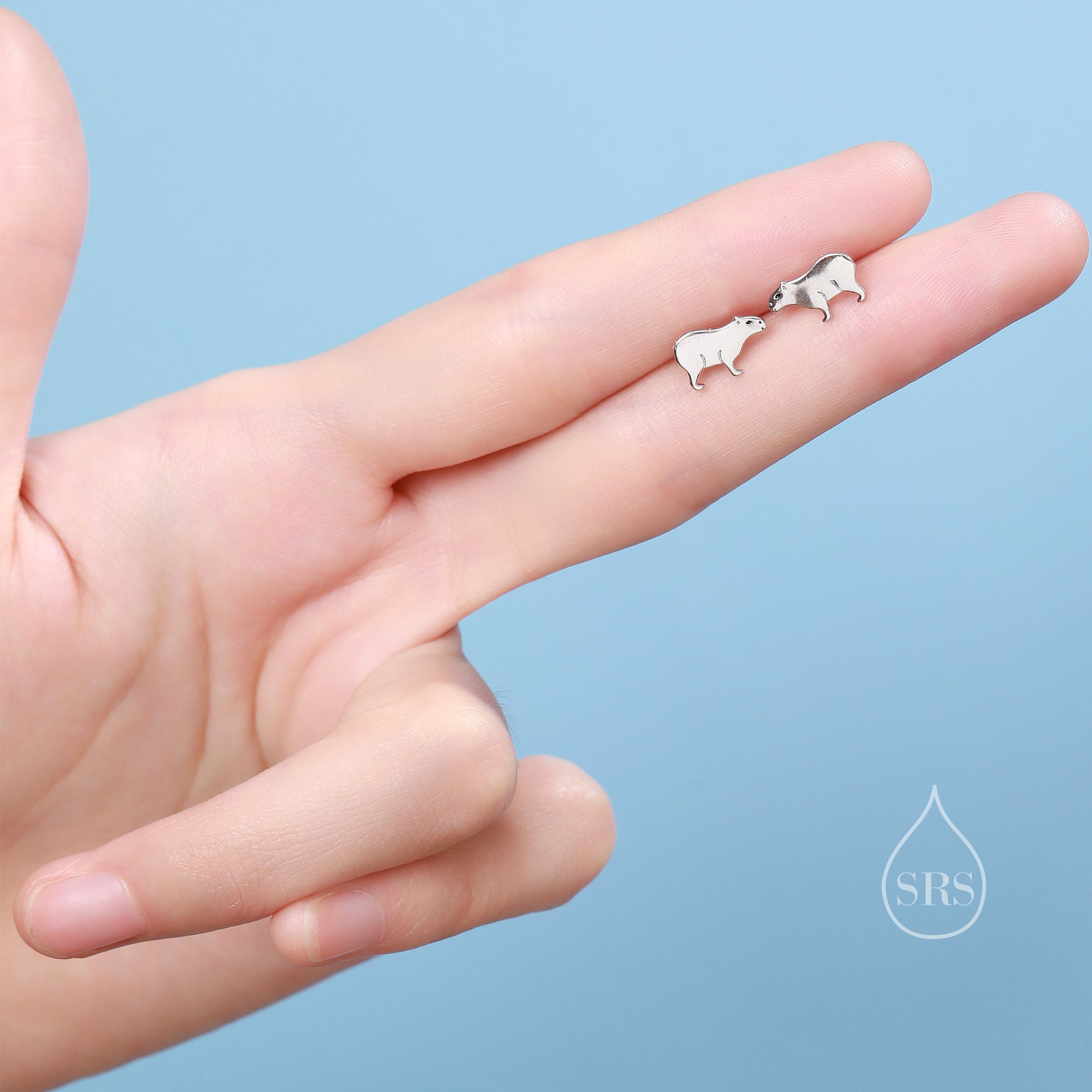 Capybara Pendientes Divertidos, Pendientes Divertidos Con Diseño De