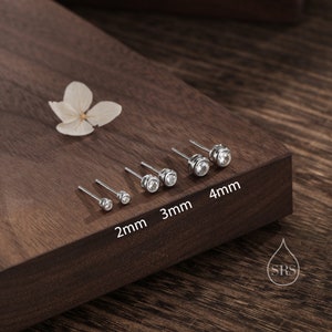 Op de afbeelding: Vijf paar zilveren oorbelletjes met heldere ronde steentjes, gepresenteerd op een houten oppervlak. De oorbelletjes zijn gelabeld met hun maten in millimeters: 2 mm, 3 mm en 4 mm.