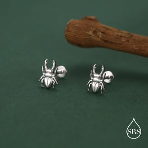 May include: A pair of silver-colored stud earrings, each shaped like a beetle. The earrings are on a dark green background, with a piece of wood in the upper right corner. The earrings have a detailed insect design.
