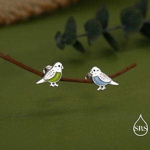 May include: A pair of silver bird stud earrings. One earring features a green body, the other a blue body. Both have white wings and a black eye. The earrings are set against a green background.