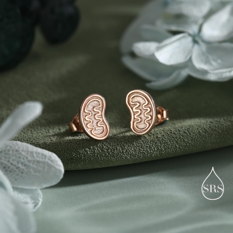 May include: A pair of rose gold stud earrings. Each earring features a stylized, organic shape with an intricate, textured design. The earrings are set against a green background, with soft floral elements in the background.
