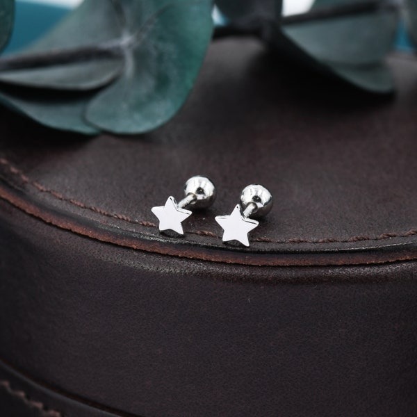 Petite paire de boucles d’oreilles Star Stud en argent sterling, or rose et argent, boucles d’oreilles à vis - hélice, cartilage, conque, tragus