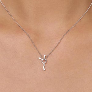May include: A silver-toned necklace featuring a pendant shaped like a chemical molecular structure. The pendant is suspended from a delicate, thin silver-coloured chain. The design consists of a central hexagonal ring with attached branches.