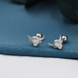 May include: A pair of silver stud earrings featuring a detailed Highland cow design. The earrings have a ball post and are a unique and stylish accessory.