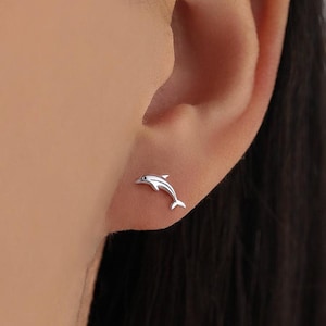 May include: A silver dolphin stud earring. The earring is a small, detailed representation of a dolphin, with a curved body and a small fin. The earring is worn on an ear.