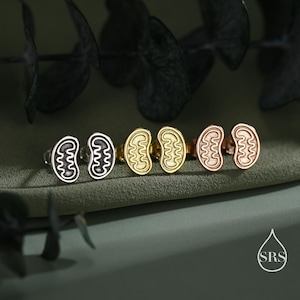 May include: Four pairs of stud earrings in silver, gold, and rose gold, each featuring a stylized, kidney-shaped design with internal detailing. The earrings are displayed on a green surface, with dark green foliage in the background. The earrings are a science-themed jewelry.