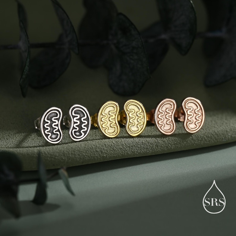 May include: Four pairs of stud earrings in silver, gold, and rose gold, each featuring a stylized, kidney-shaped design with internal detailing. The earrings are displayed on a green surface, with dark green foliage in the background. The earrings are a science-themed jewelry.