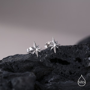 May include: A pair of silver star-shaped stud earrings on a black rock background.