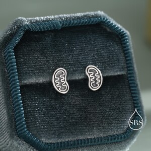 May include: A pair of silver-colored stud earrings in the shape of a cell's mitochondria, displayed in a dark teal velvet jewelry box. The earrings have a detailed, wavy interior design. The box is open, revealing the earrings against the soft fabric.