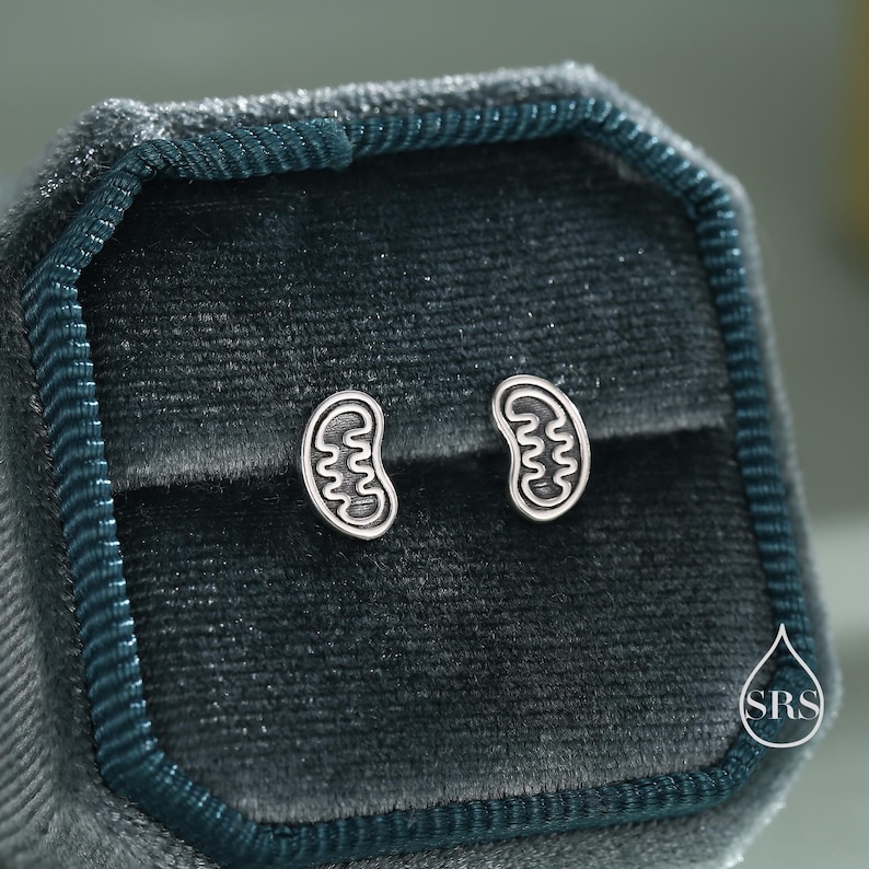 May include: A pair of silver-colored stud earrings in the shape of a cell's mitochondria, displayed in a dark teal velvet jewelry box. The earrings have a detailed, wavy interior design. The box is open, revealing the earrings against the soft fabric.