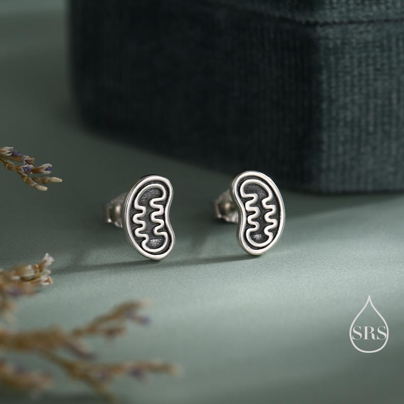 May include: A pair of silver stud earrings. Each earring features a kidney-bean-shaped design with a black, wavy interior. The earrings are displayed on a muted green surface with a dark green backdrop.