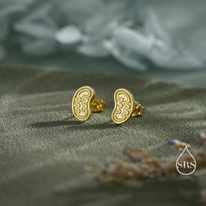 May include: A pair of gold-colored stud earrings. Each earring features a stylized, kidney-shaped design with an interior wavy pattern. The earrings are set against a muted green background, with soft lighting and a blurred floral element.