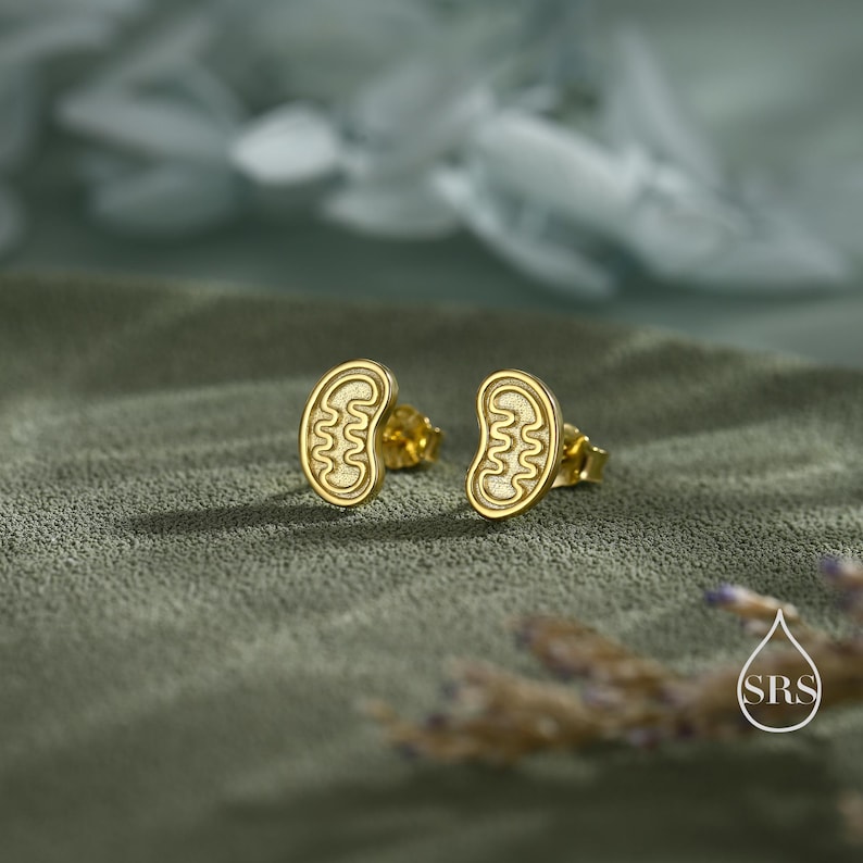 May include: A pair of gold-colored stud earrings. Each earring features a stylized, kidney-shaped design with an interior wavy pattern. The earrings are set against a muted green background, with soft lighting and a blurred floral element.