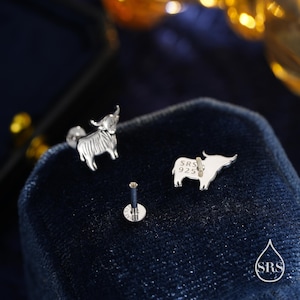 May include: Silver-colored stud earrings featuring a Highland cow design. The earrings are detailed with etched lines and a small post. One earring is shown with the text "SRS 925". The earrings are displayed on a dark blue velvet surface.