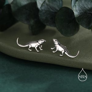 May include: A pair of silver-colored lizard-shaped earrings. The earrings are detailed with textured scales and curved tails. The lizards are positioned facing each other, set against a dark green background with leafy accents.