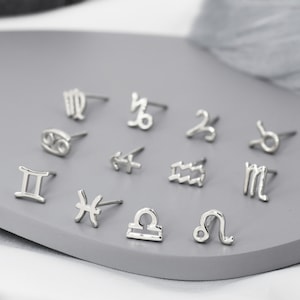 Pair of Zodiac Stud Earring in Sterling Silver, Silver or Gold, Horoscope  Earrings