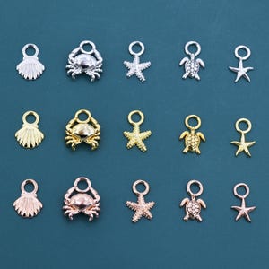 Può includere: Una collezione di piccoli ciondoli a tema oceanico in argento, oro e oro rosa. I ciondoli includono conchiglie, granchi, stelle marine e tartarughe, ciascuno con un anello per il fissaggio. Lo sfondo è di colore verde acqua.