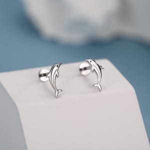Puede incluir: Un par de pendientes de botón de plata con forma de delfín. Cada pendiente presenta un diseño detallado de delfín con un cuerpo curvado, una aleta dorsal y una cola. Los pendientes están colocados sobre una superficie blanca con un fondo azul.