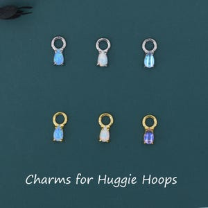 Puede incluir: Seis colgantes para aros. Los colgantes tienen forma de lágrima con un anillo plateado o dorado en la parte superior. Las lágrimas son de varios colores, incluyendo azul, blanco y morado. El texto "Charms for Huggie Hoops" está en la parte inferior.