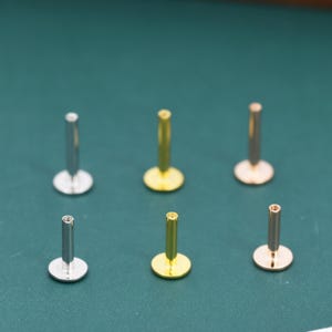 Könnte beinhalten: Sechs Lippenpiercing-Stecker in Silber-, Gold- und Roségoldtönen sind auf einer grünen Oberfläche angeordnet. Jeder Stecker hat eine flache, kreisförmige Basis und einen geraden Pfosten. Die Oberseiten der Pfosten sind mit Gewinde versehen.