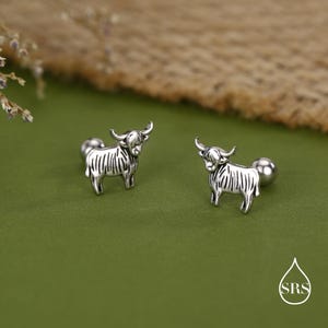 Klein paar 18G Highland Cow-oorbellen met schroefsluiting in sterlingzilver, dierenoorbellen