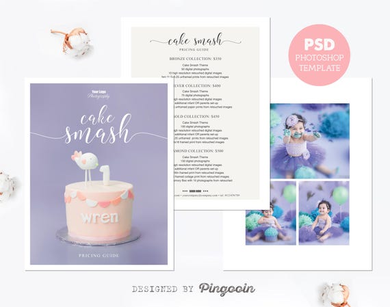 price list template cake smash photography pricing template pricing guide pricing template marketing template editable psd files plt39 cake price list template