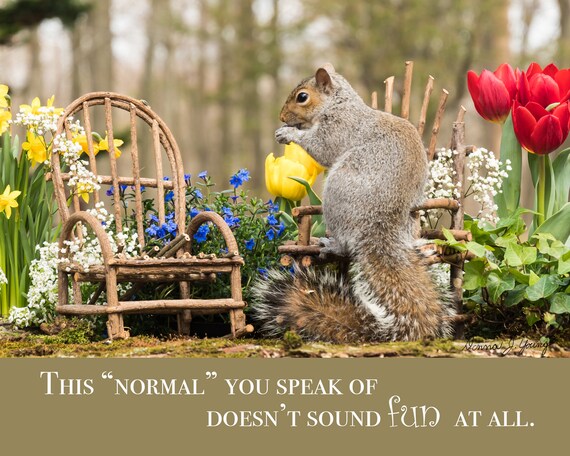 Make it Rain memes - Happy Squirrel