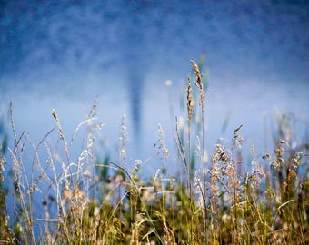 South Dakota Prairie Grass